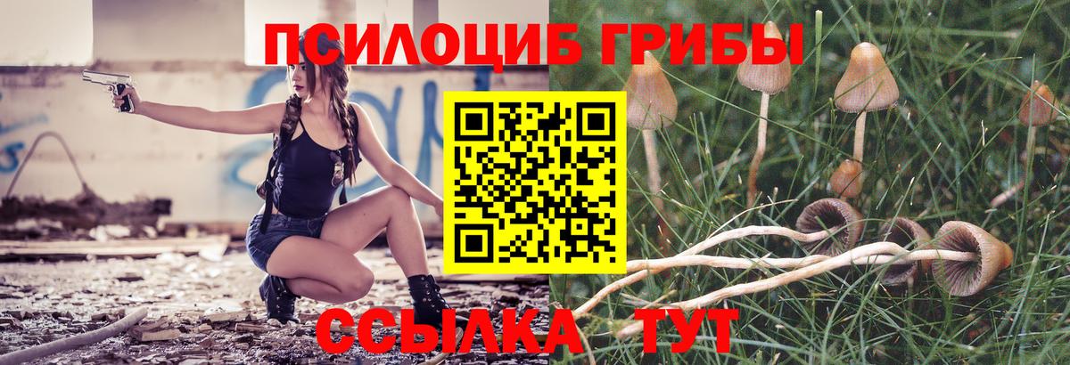 купить закладку  Галлюциногенные грибы мухоморы  Вход с VPN  Чита 